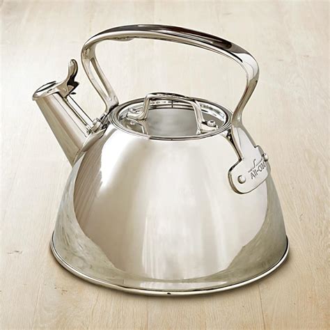 All-Clad Stainless-Steel Tea Kettle | Williams-Sonoma AU