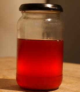 lightly enchanted: Hawthorn Berry Syrup