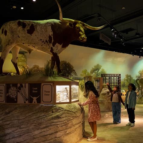 Witte Museum tickets | San Antonio