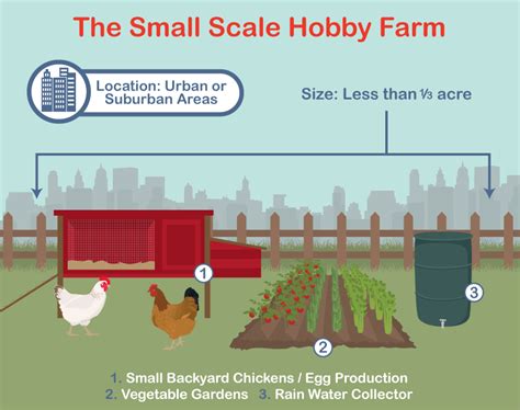 5 Acre Hobby Farm Layout - alter playground