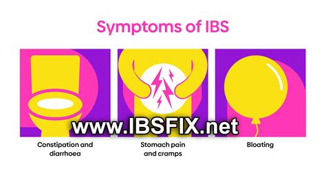 IBS Fix - Irritable Bowel Syndrome Support