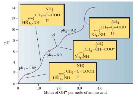 Isoelectric Points