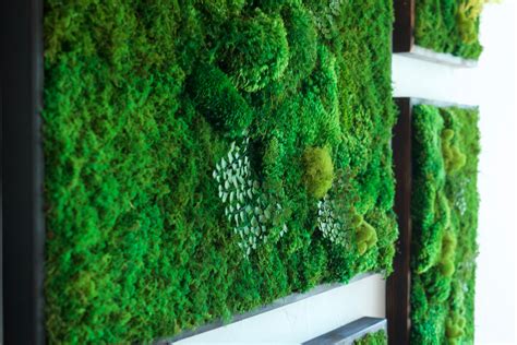 58x58" Real Preserved Moss Wall Art Green Wall Collage No Sticks. No ...