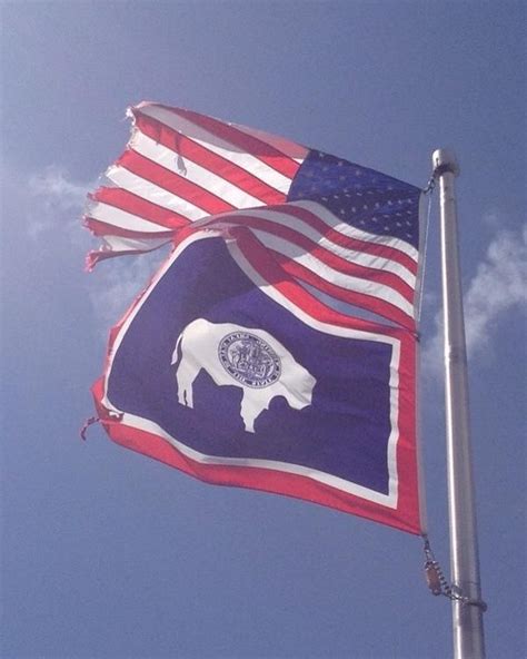 Wyoming State flag | Wyoming state, Flag, Wyoming