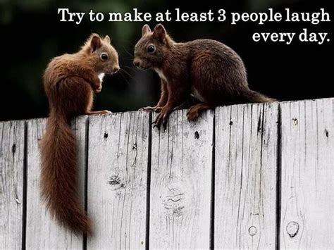 These Wise Creatures Have Some Advice For You...