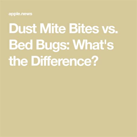 Dust Mite Bites vs. Bed Bugs: What's the Difference? — The Healthy ...