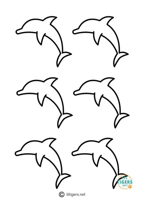 Dolphin Outline Template