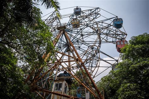 an amusement park ride in the middle of trees