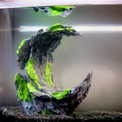 Amazon.com: Allcolor Decorative Rocks.Aquarium Decoration Model.Easy Superior Aquascape. (Moon ...