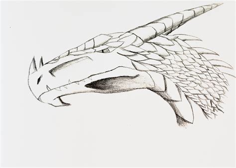 ArtStation - Dragon head pencil sketch