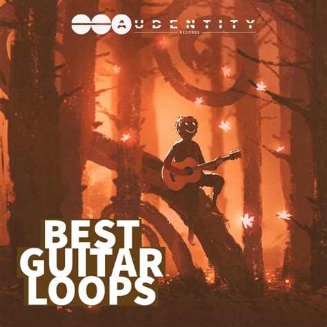 Audentity - Best Guitar Loops - Samples & Loops - Splice