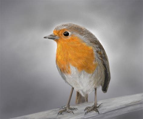 Christopher Robin by davincipoppalag on DeviantArt