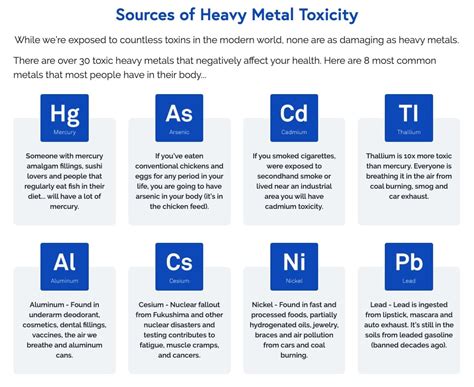 Understanding Heavy Metal Toxicity: How Lead and Mercury Toxins Impact Your Thinking and Energy ...