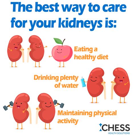 Kidney Health is Important to Well-being - CHESS Health Solutions