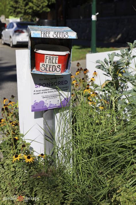 How to Make a Little Seed Library in Your Community - Garden Therapy