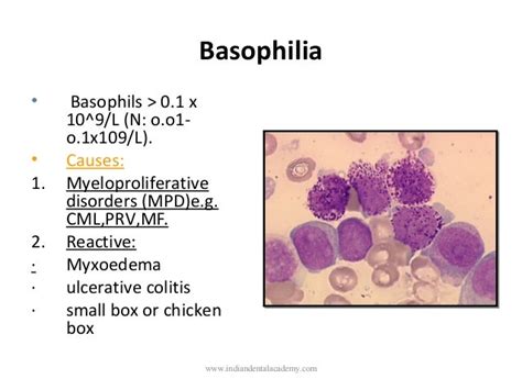 Basophilia Causes