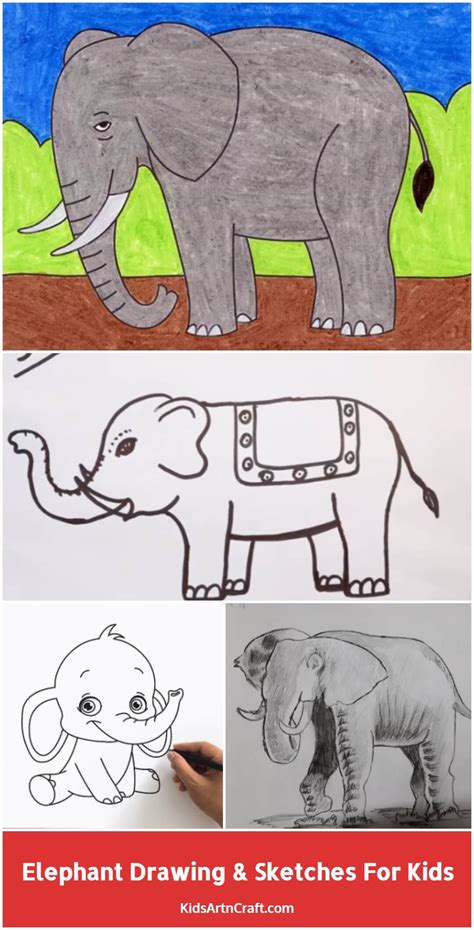 Elephant Drawing & Sketches for Kids - Kids Art & Craft