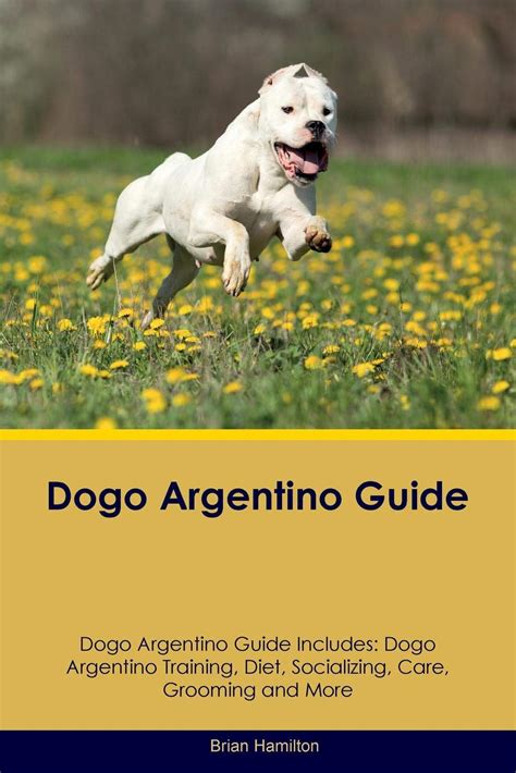 Dogo Argentino Training | ubicaciondepersonas.cdmx.gob.mx