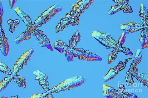 Ammonium Chloride Crystals Photograph by Karl Gaff / Science Photo ...