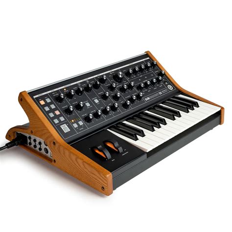 Moog Subsequent 25 Analog Synth | Reverb