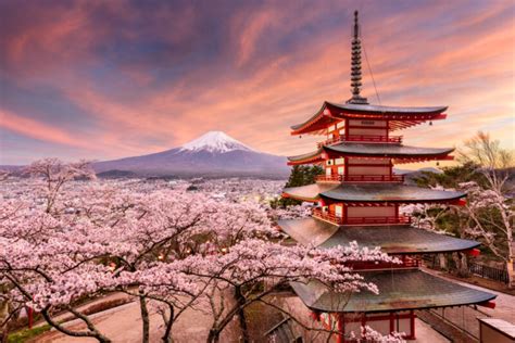 10 amazing things to do in Yamanashi, Japan! - fromJapan