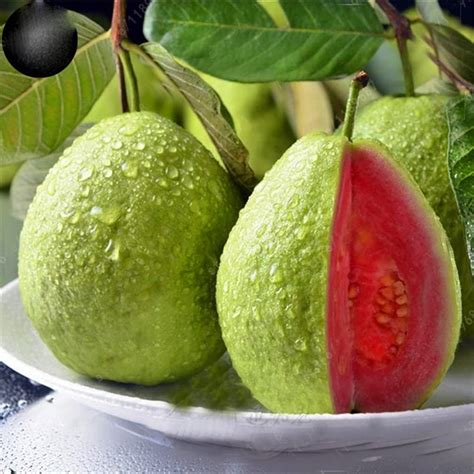 Lemon Guava Seeds 100 Seeds to Grow Exotic and Delicious - Etsy