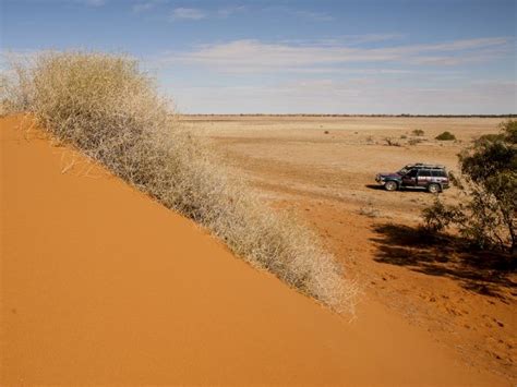 Diamantina National Park | Parks and forests | Department of Environment, Science and Innovation ...