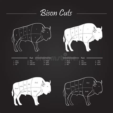 Bison Meat Cuts Scheme Stock Image - Image: 38482981