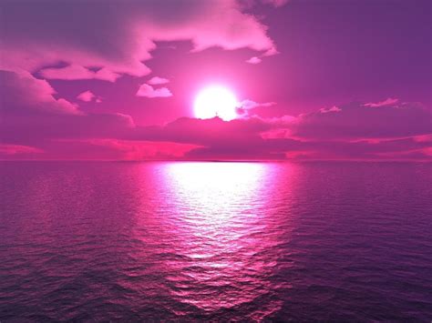 Purple and Pink Sunset Wallpaper - WallpaperSafari