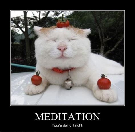 Meditation Memes