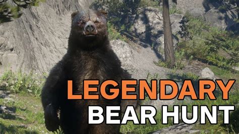 Red Dead Redemption 2: How to Hunt the Legendary Bear - YouTube