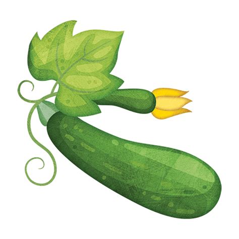 Zucchini clipart zucchini plant, Zucchini zucchini plant Transparent FREE for download on ...