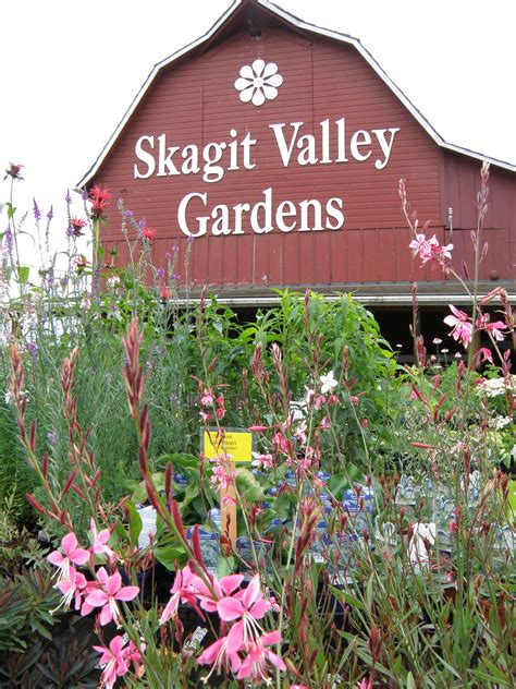 Pin on Skagit Valley Gardens Spring