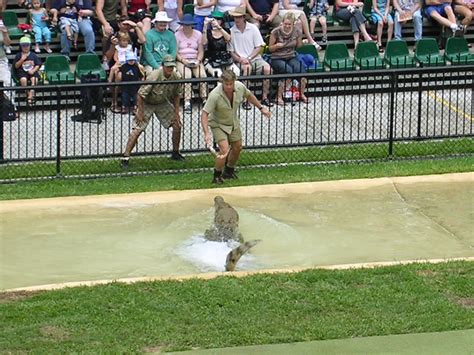 File:Steve Irwin, Crocoseum, Australia Zoo in 2003 (2).jpg