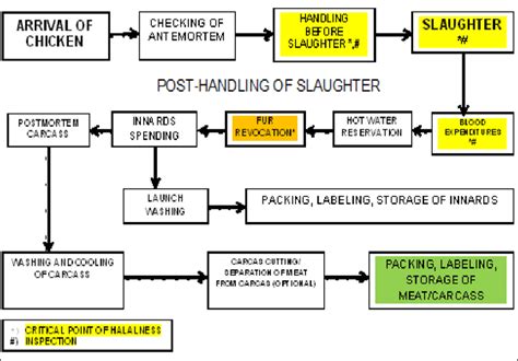 Chicken Slaughterhouse Process