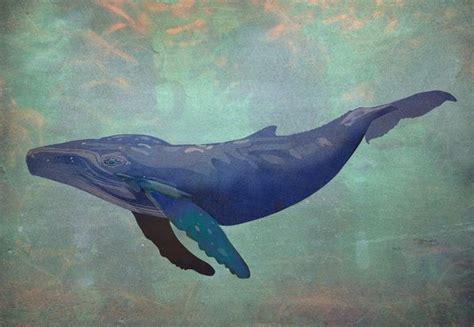 Blue Whale Art Print by Starseed Designs | Whale artwork, Whale art print, Whale illustration