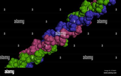 Collagen protein molecule. Molecular model. 3D rendering. Illustration Stock Photo - Alamy