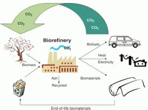 Introduction to Biorefinery | EcoMENA