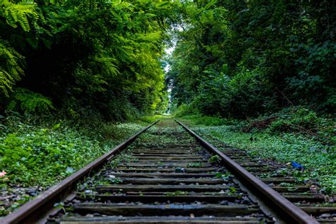 Free Images : tree, nature, forest, track, railway, railroad, sunlight, transportation, green ...