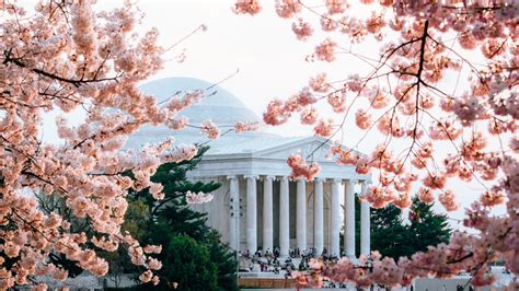 Jefferson Memorial in Washington DC (Photo Guide)