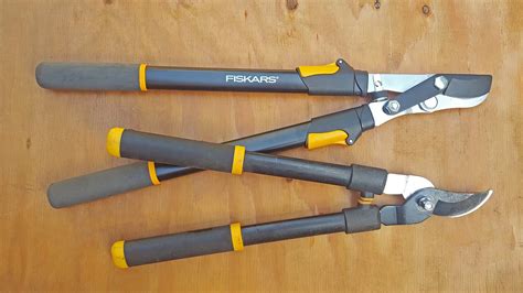 Best Loppers for Your Pruning Needs - Spoken Garden