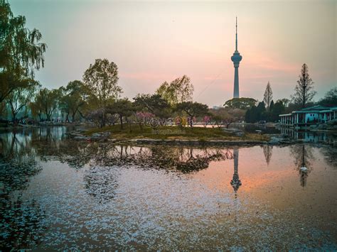 Central Park Tower Images, HD Pictures For Free Vectors Download - Lovepik.com