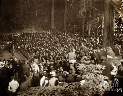 Members Of The Bohemian Club At The Bohemian Grove Photograph by California Views Archives Mr ...