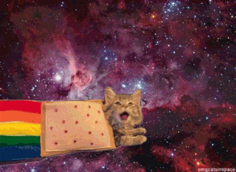 Space Cat GIFs - Get the best GIF on GIPHY