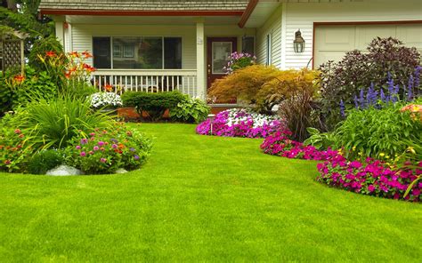 How To Create And Maintain A Lush, Green Lawn