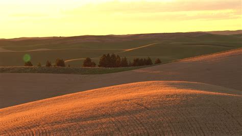 Palouse Sunset 1293991 Stock Video at Vecteezy