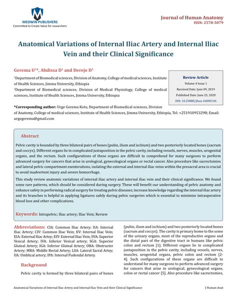 (PDF) Anatomical Variations of Internal Iliac Artery and Internal Iliac Vein and their Clinical ...