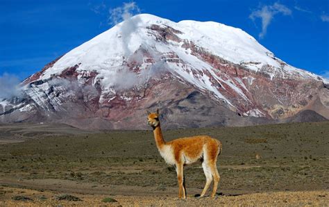 Ecuador’s Chimborazo volcano steals a world record from Mount Everest | In English | EL PAÍS