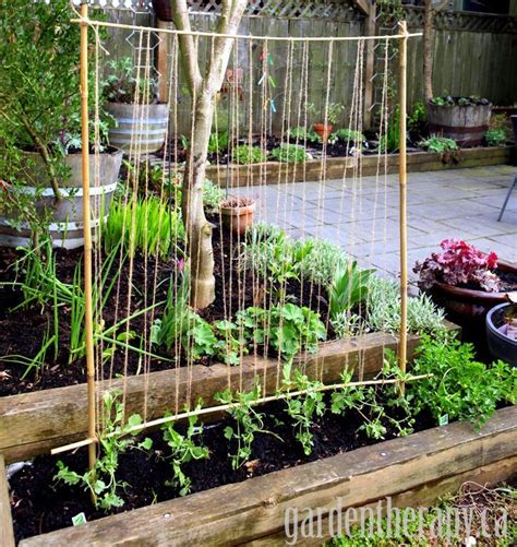 Making a Pea Trellis with Kids