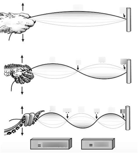 Nodes and Antinodes Diagram Diagram | Quizlet